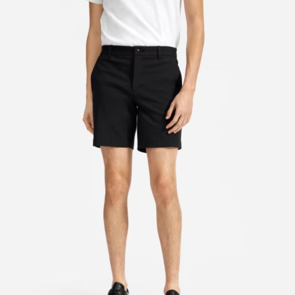 Everlane, The 9" Slim Fit Performance Chino Short, Size 31